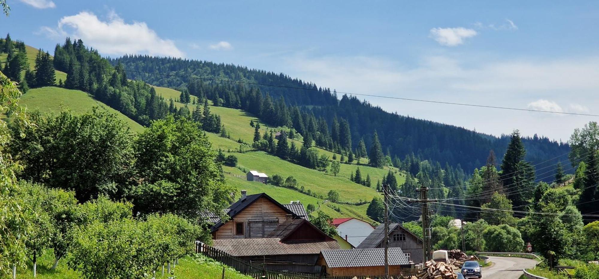 Casa Agroturistica Tarancuta Din Vatra Moldovitei Hotel Екстериор снимка